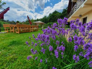 Gradina Forest Villa